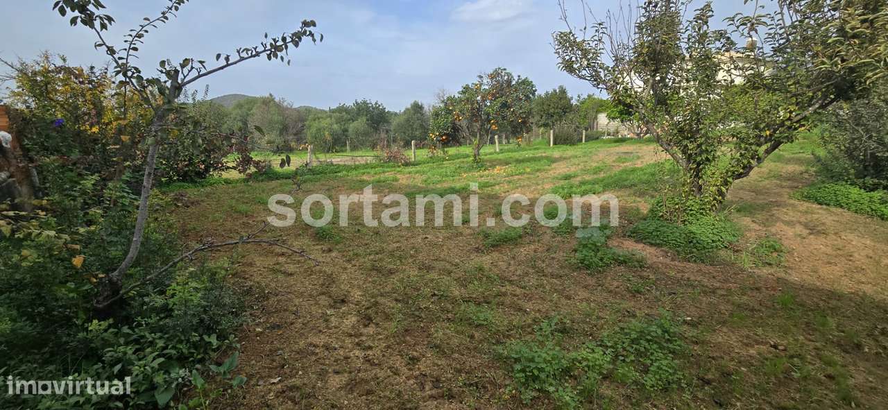 Terreno Para Construção  Venda em Almancil,Loulé - Grande imagem: 5/12