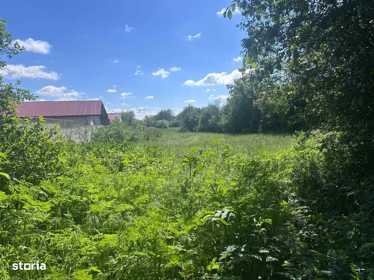 VÂNZARE TEREN CU POTENȚIAL MULTIPLU - Imagine principală: 1/5