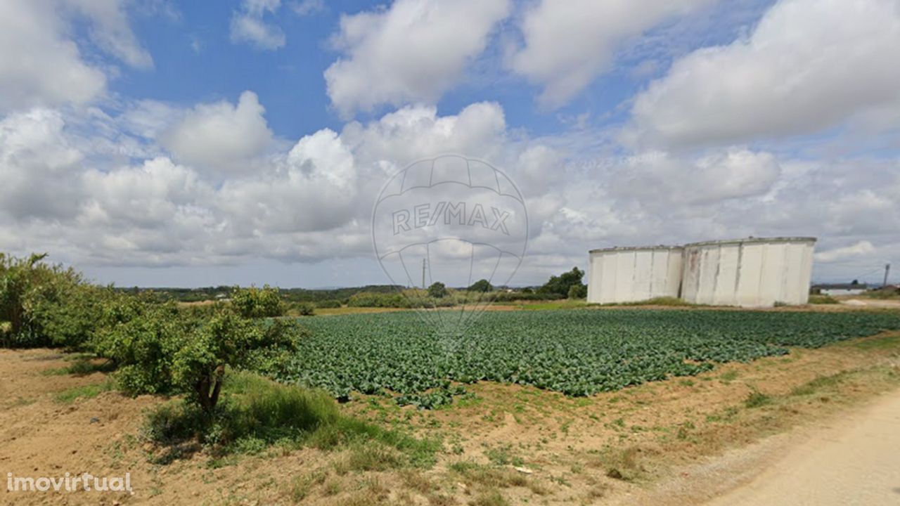 Terreno  para venda