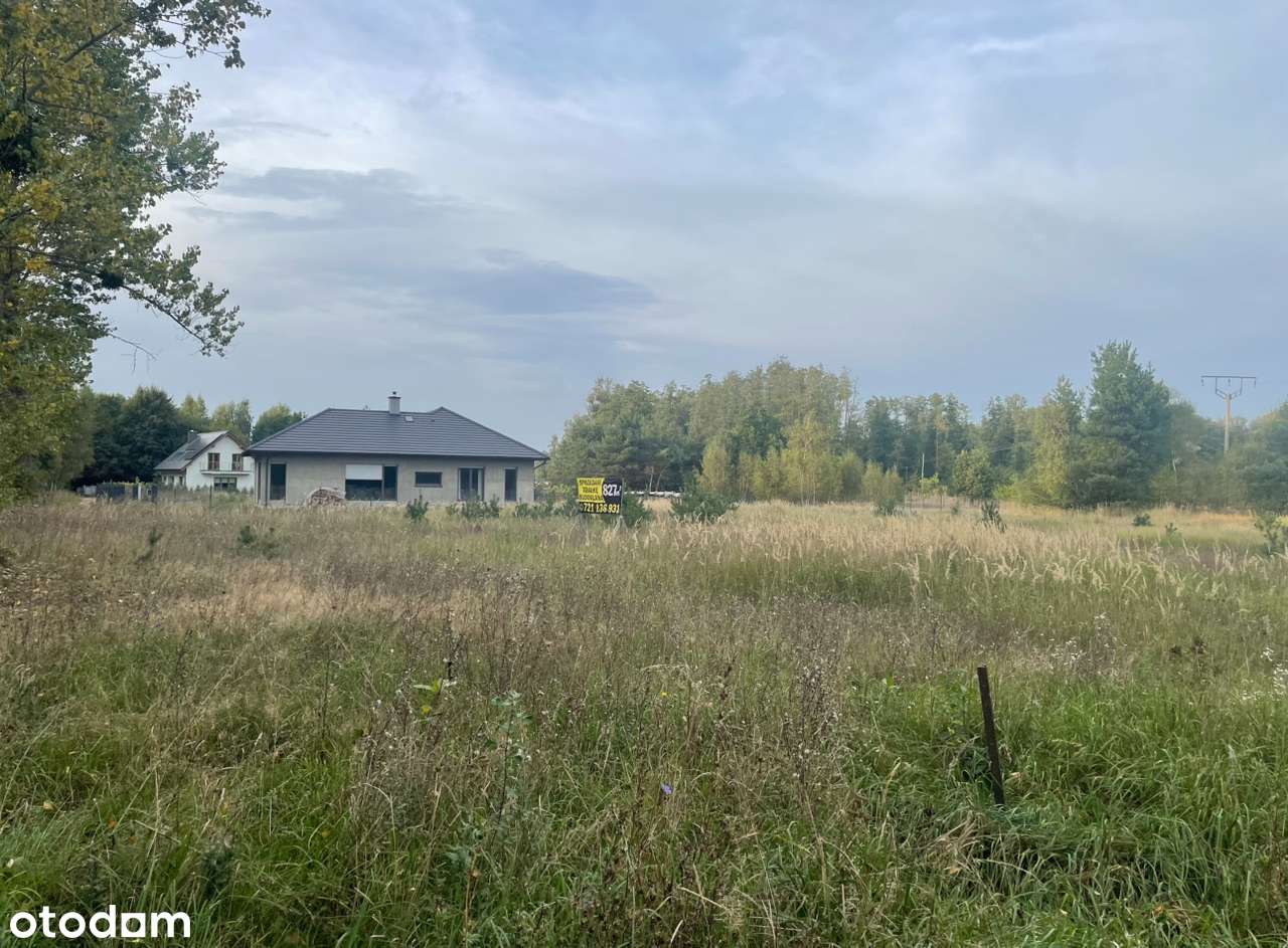 Działka rolno-budowlana 3000m2 Pustachowa - Pełny obrazek: 4/4