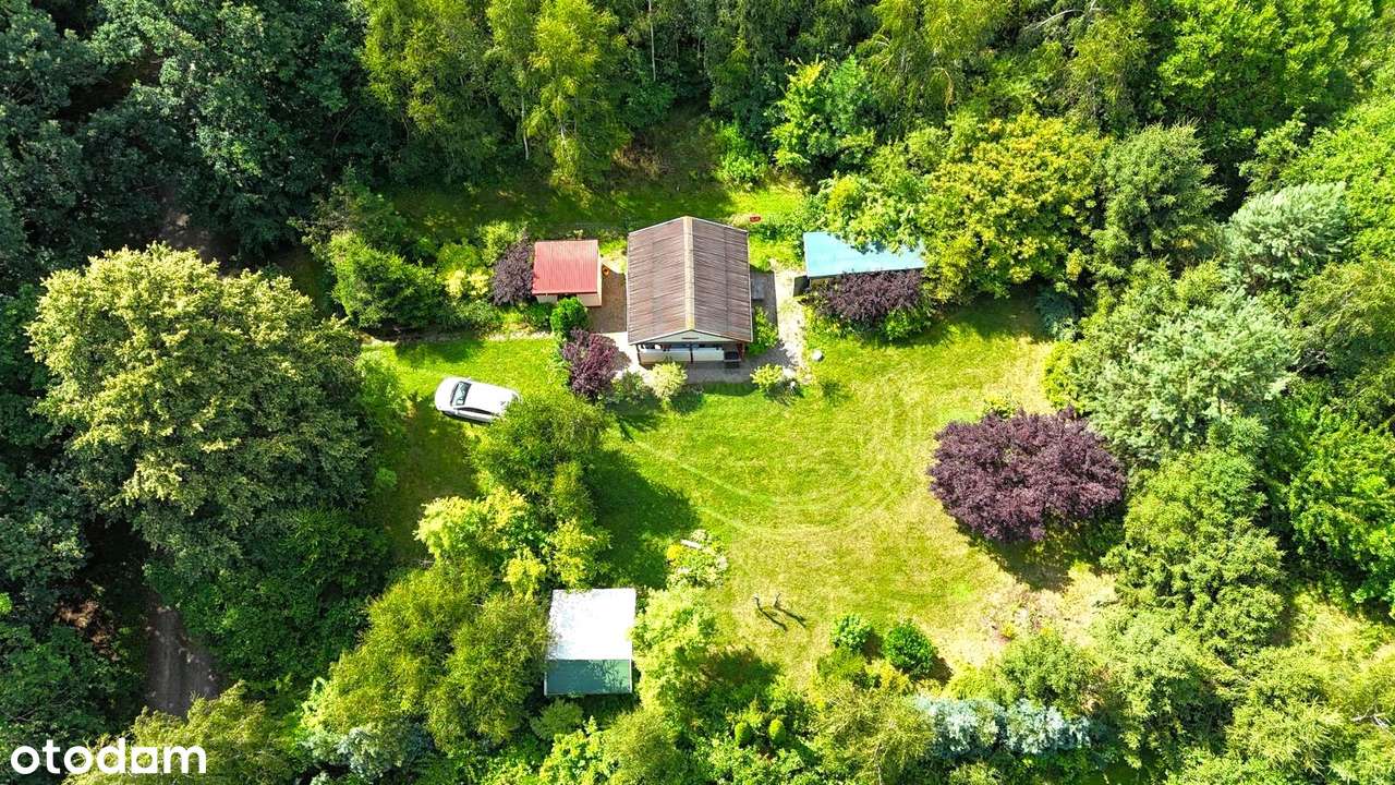 Działka budowlana/las/jezioro! - Pełny obrazek: 5/12