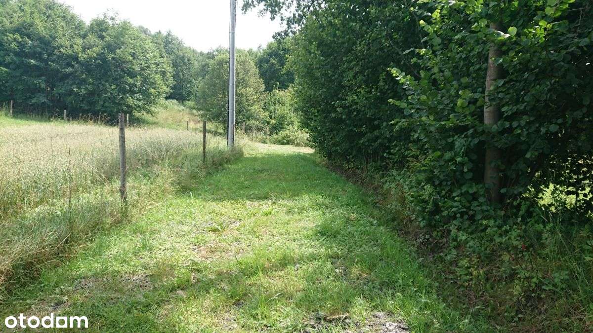 Okazja - Działki 1,5299 Ha W Ślemieniu - Pełny obrazek: 5/6