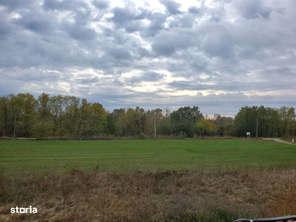 Teren de vanzare Ciolpani-Luparia - Imagine principală: 1/1