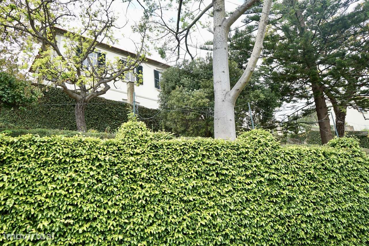 Fantástica moradia num lote de 1360m2-39