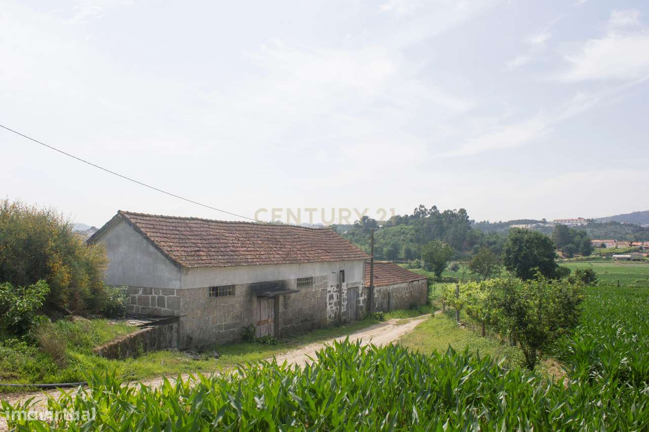 Quinta em Paredes - Possibilidade de Permuta. - Grande imagem: 4/4