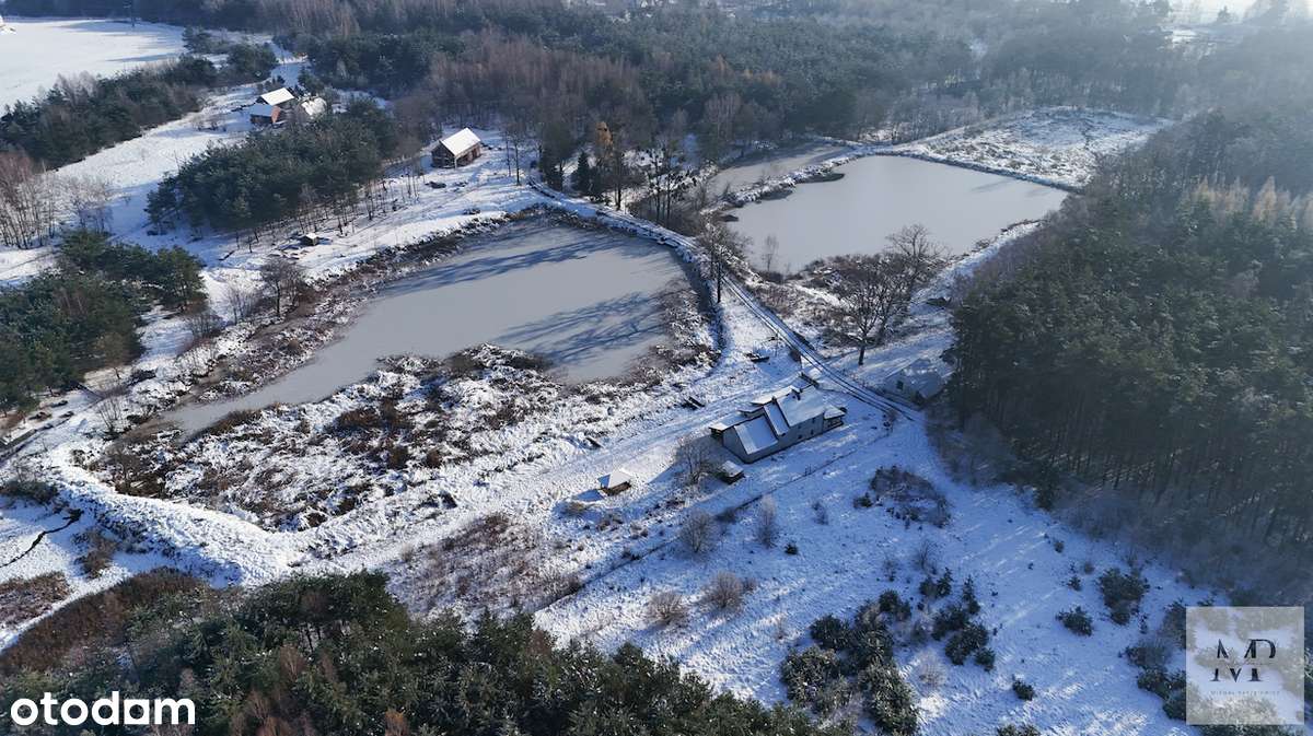 Posiadłość w lesie "Cztery Stawy"| Dom 270m2 | Działka 6,5 ha| Natura! - Pełny obrazek: 5/20