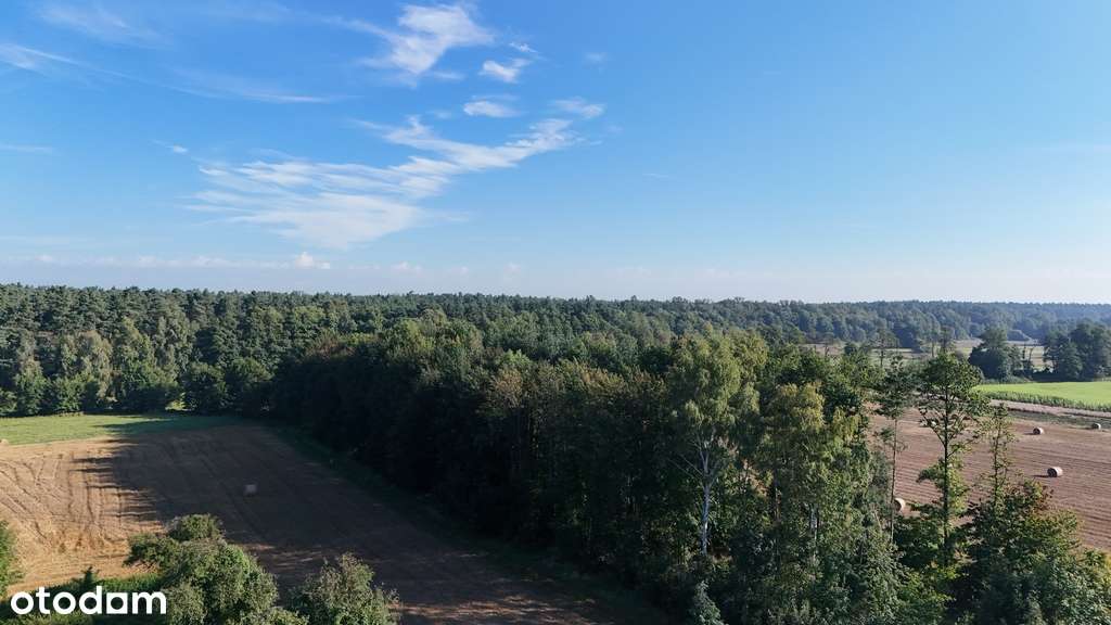 Działka budowlana z prywatnym lasem Murowaniec - Pełny obrazek: 3/14