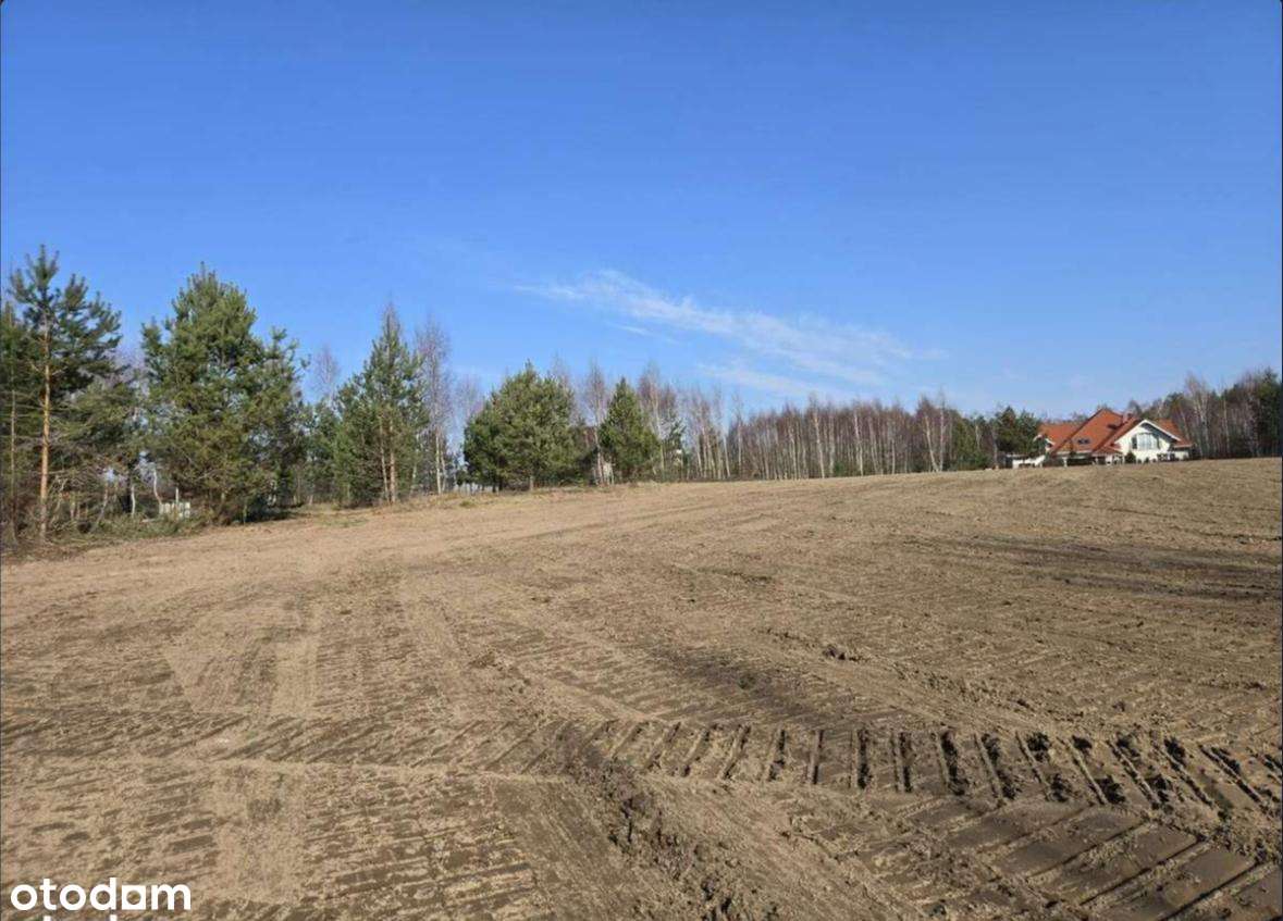 Piękna dzialka Przyjaźń - Pełny obrazek: 2/3