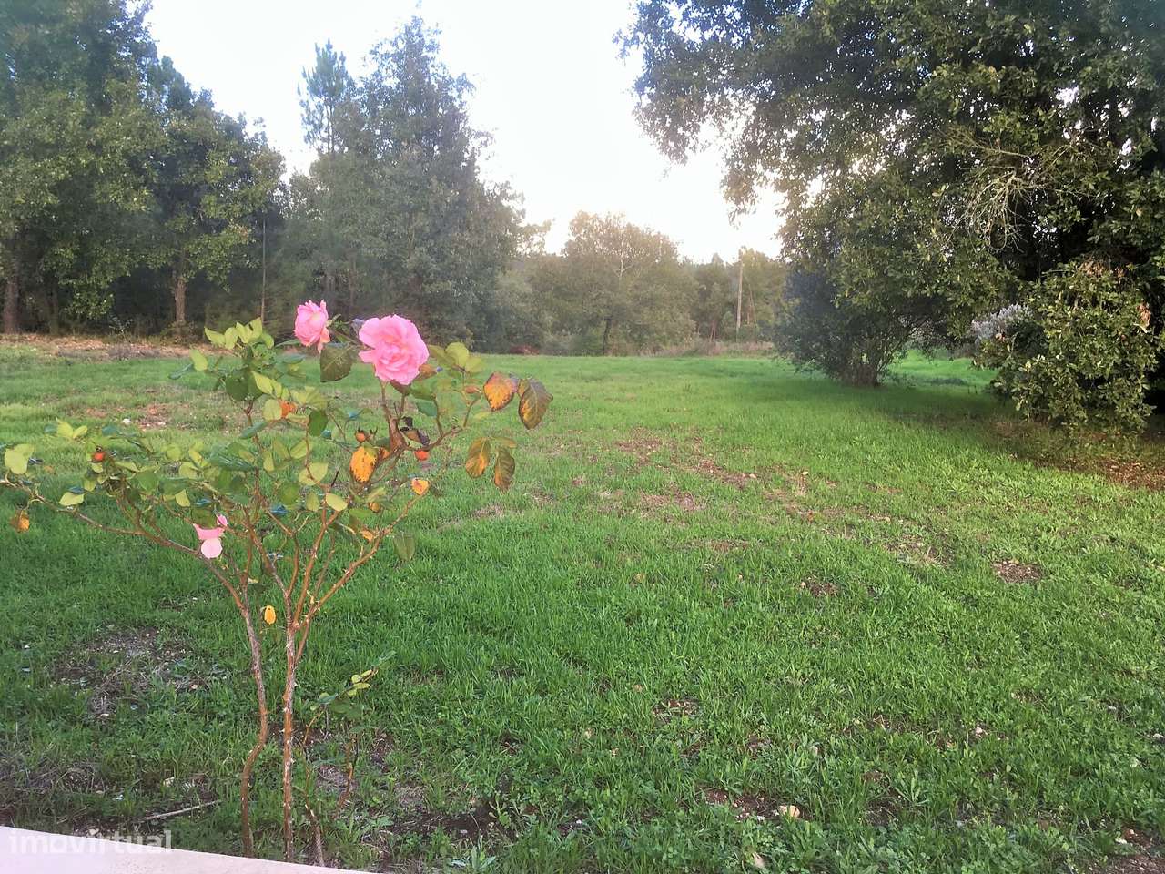 Moradia T3 isolada com jardim, terraço e garagem-16