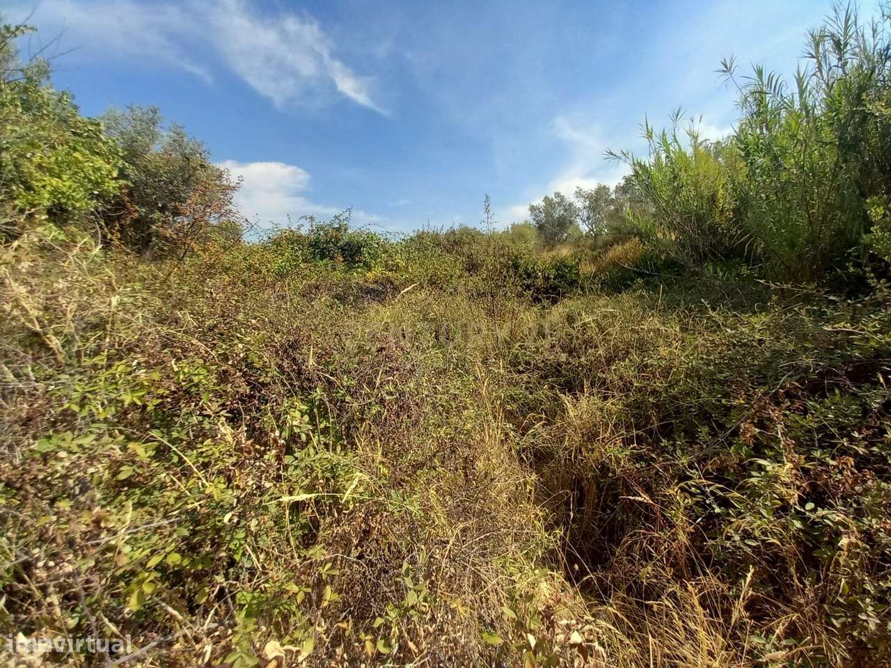 Terreno com 23500m2 com Vista Panorâmica em Local Tranquilo - Grande imagem: 2/6