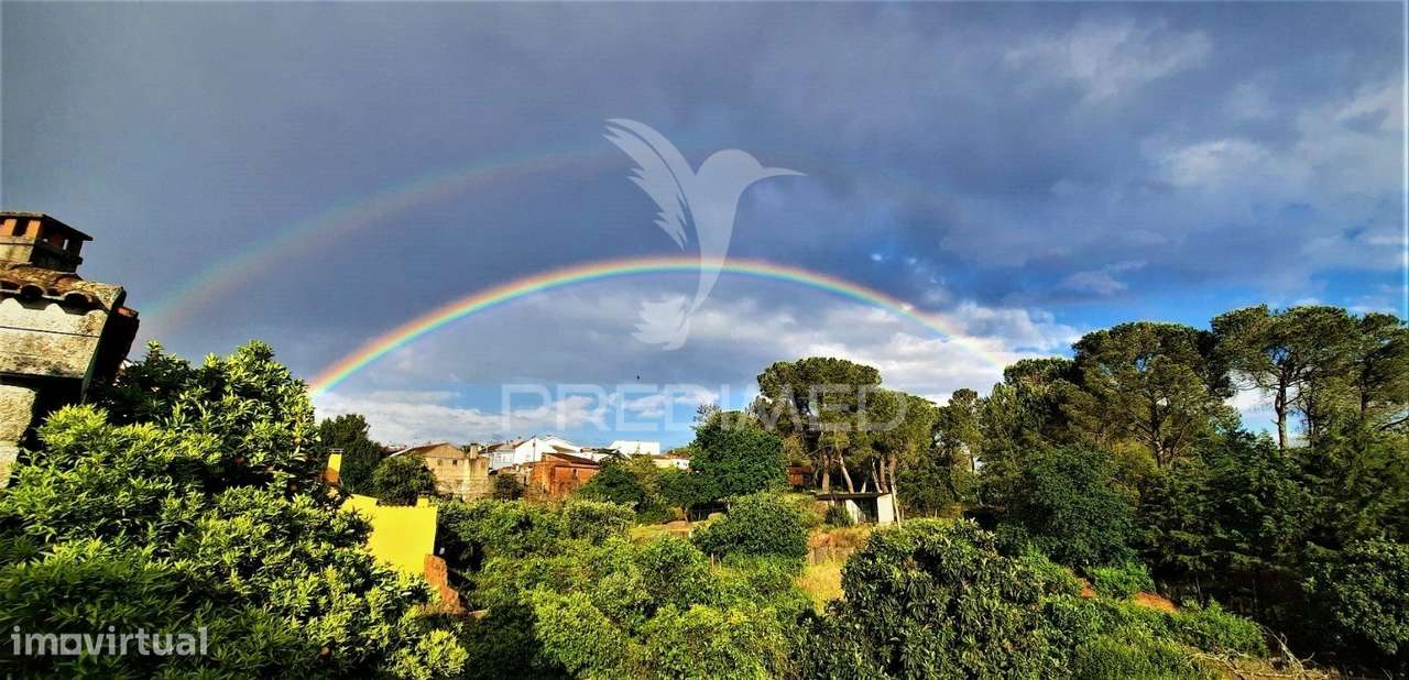 Moradia com 2 quartos com terreno - Renovada - Viseu - Nelas - Grande imagem: 5/21