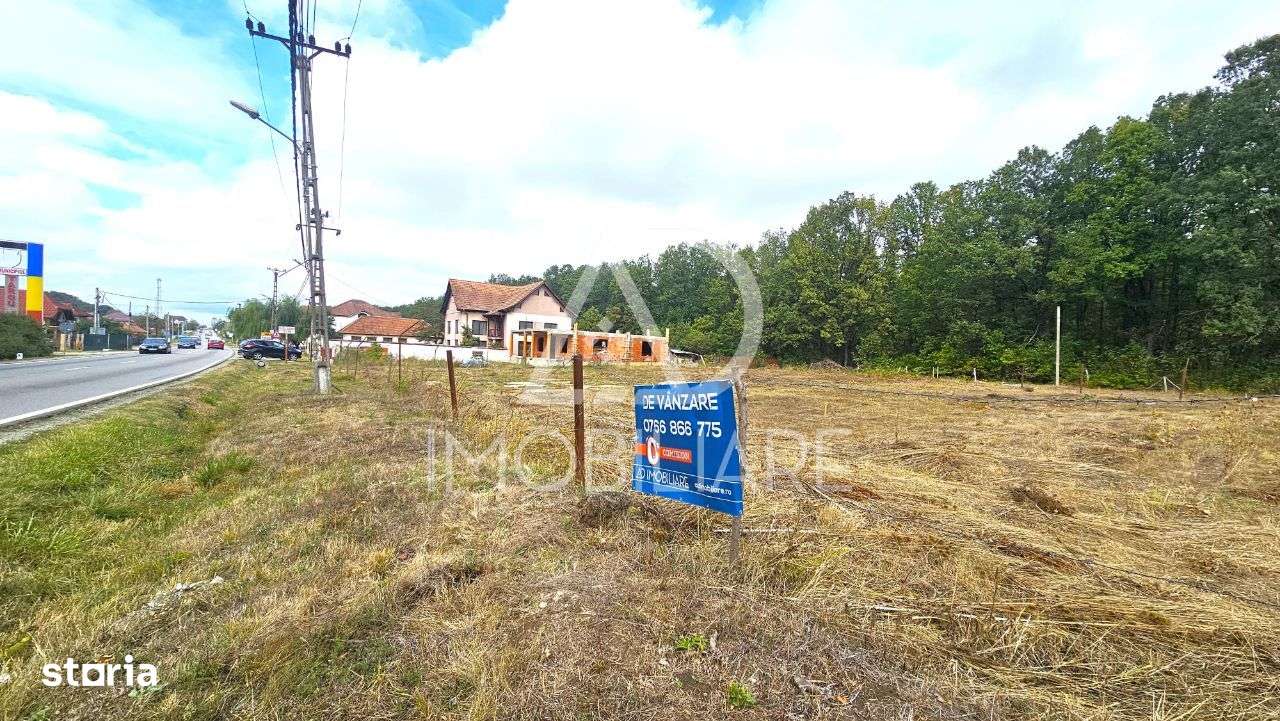 Teren intravilan Dragoeni, deschidere 89 m la DN67 - Imagine principală: 2/9