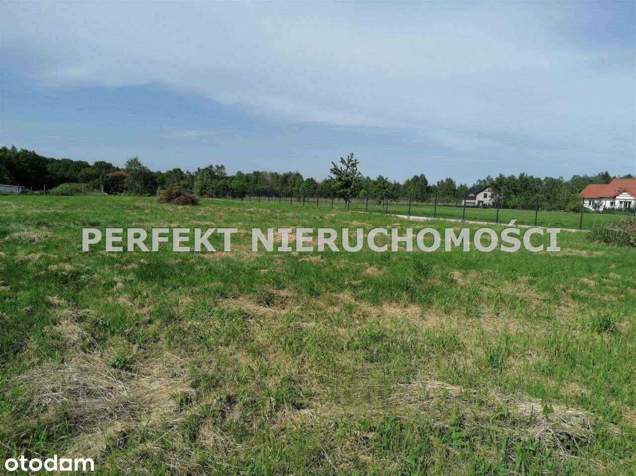 Olbrachtów centrum - Pełny obrazek: 2/2