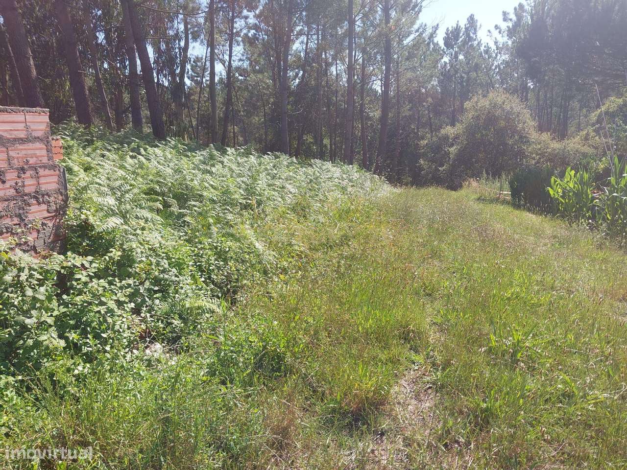 Terreno para construção - Grande imagem: 3/8