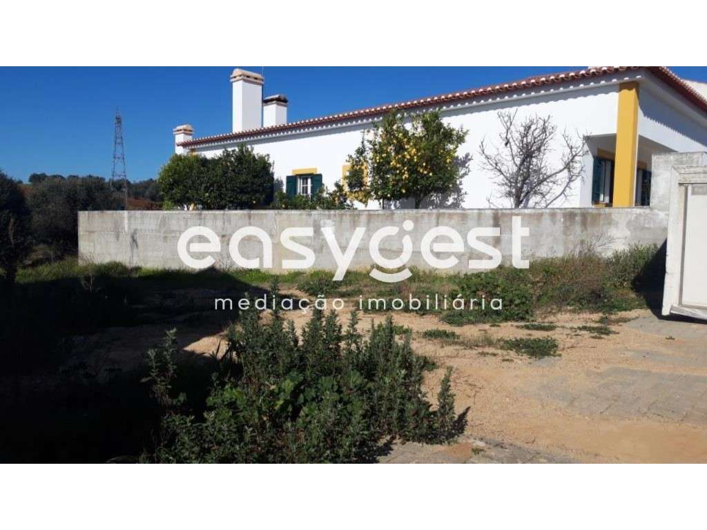 Terreno Urbano para construção localizado na Vila de Alvito - Grande imagem: 3/3