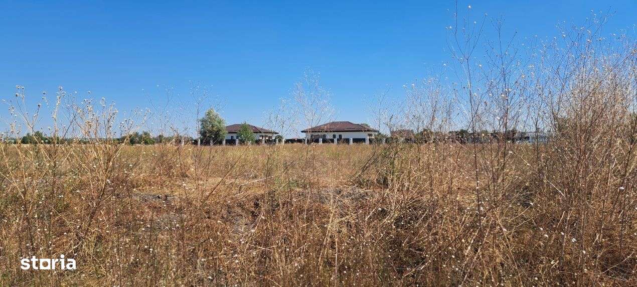 DIMIENI - ILFOV / STR. STRAJA / TEREN 1000 mp / 2000 mp-17