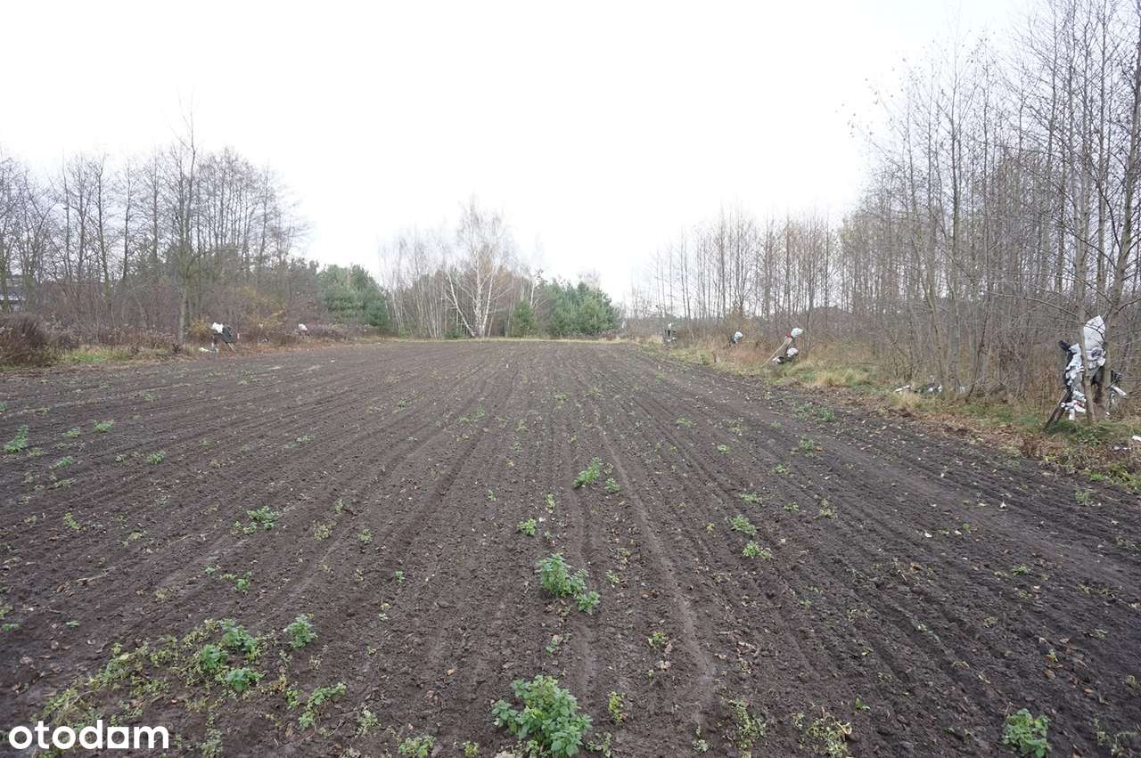 Teren budowlany w Aleksandrii k. Ozorkowa (1.960 m2) - Pełny obrazek: 4/8