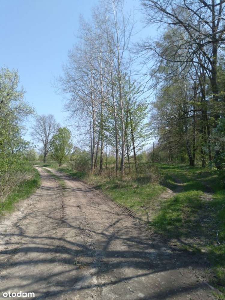 Na sprzedaż działka przy lesie z warunkami zabudowy - Pełny obrazek: 5/13