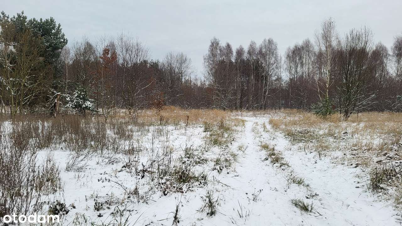 Działka Budowlana w atrakcyjnej dzielnicy - Pełny obrazek: 4/6
