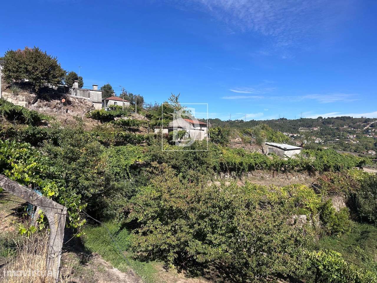 Terreno  Venda em Grilo,Baião - Grande imagem: 3/41