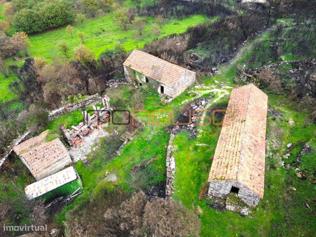 Terreno de 84 hectares-36