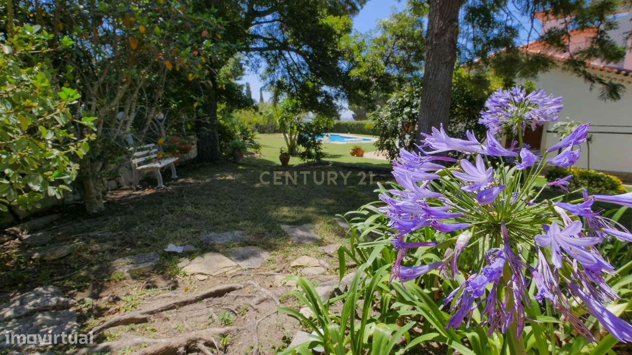 QUINTA EM PALMELA | 7 QUARTOS | 4 CASAS DE BANHO | 3 PISOS-25