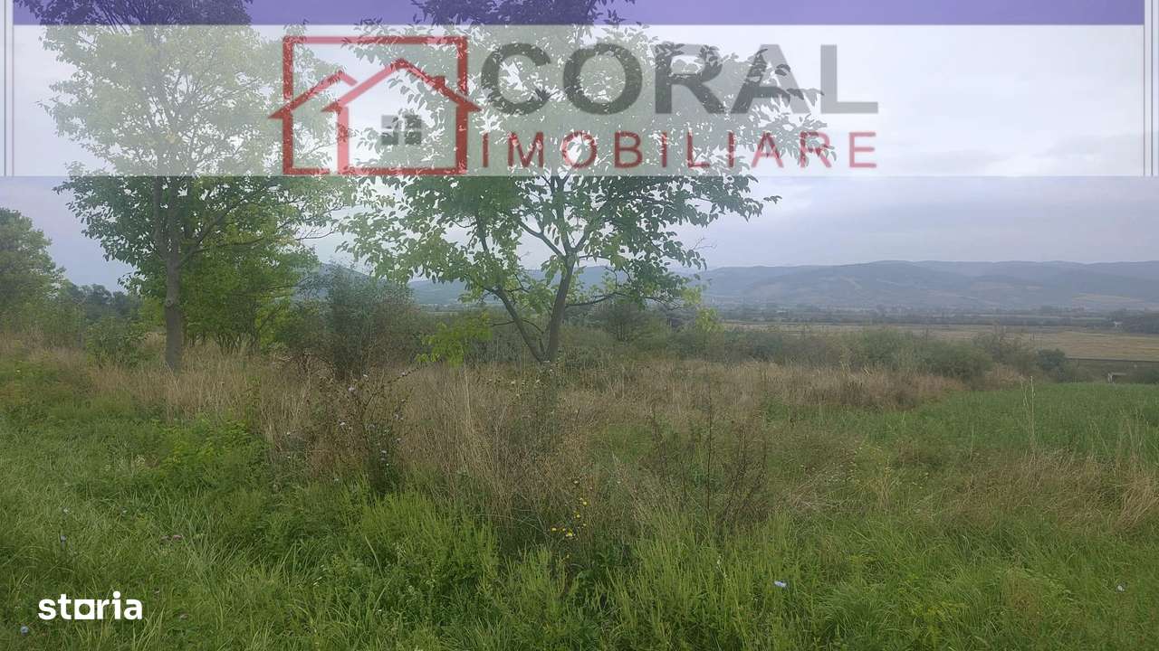 De vanzare teren extravilan, zona Spini - Imagine principală: 5/5