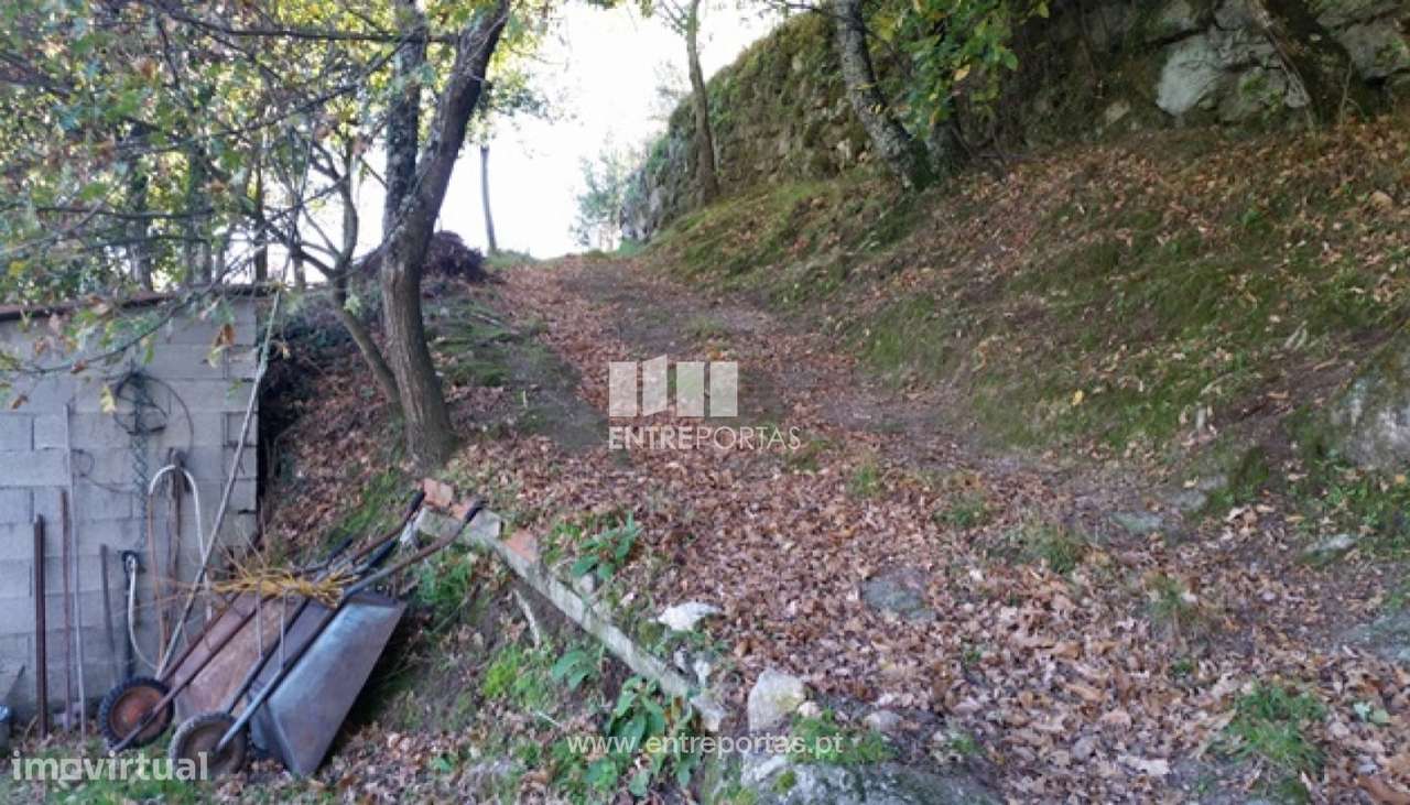 Venda Terreno, vista desafogada, Ovil, Baião - Grande imagem: 5/12