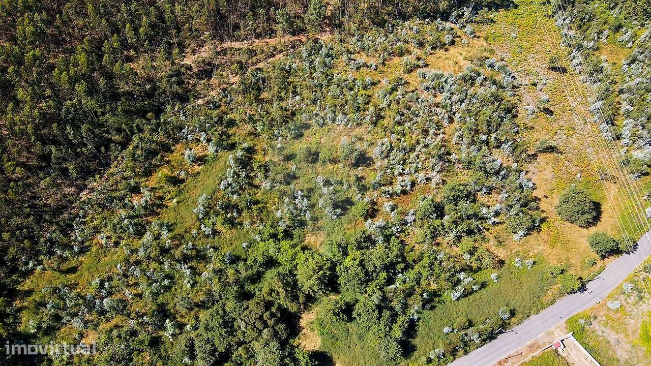 Terreno  para venda - Grande imagem: 5/10