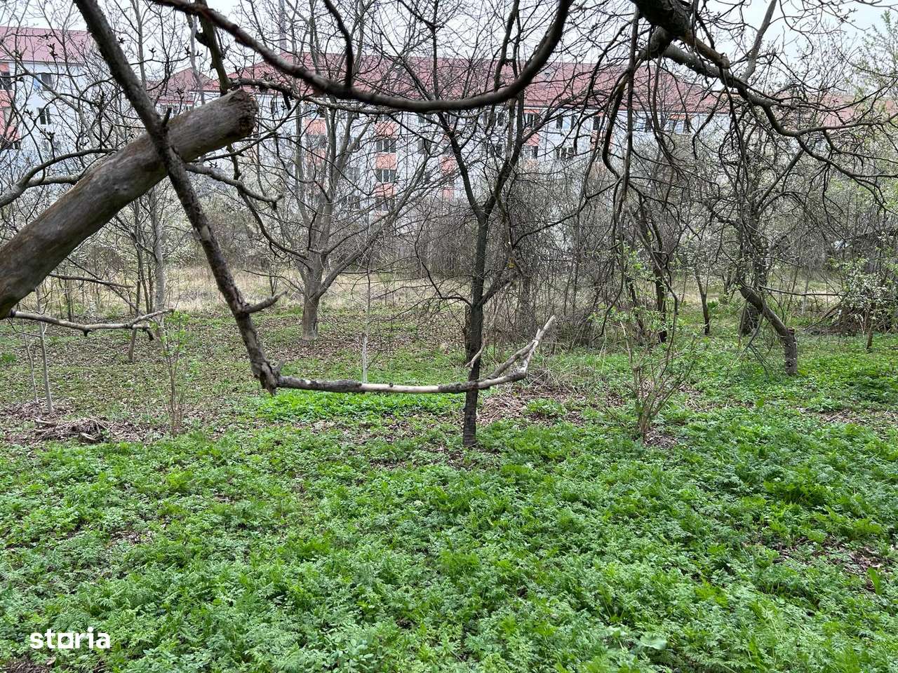 30 ari zona centrala-2