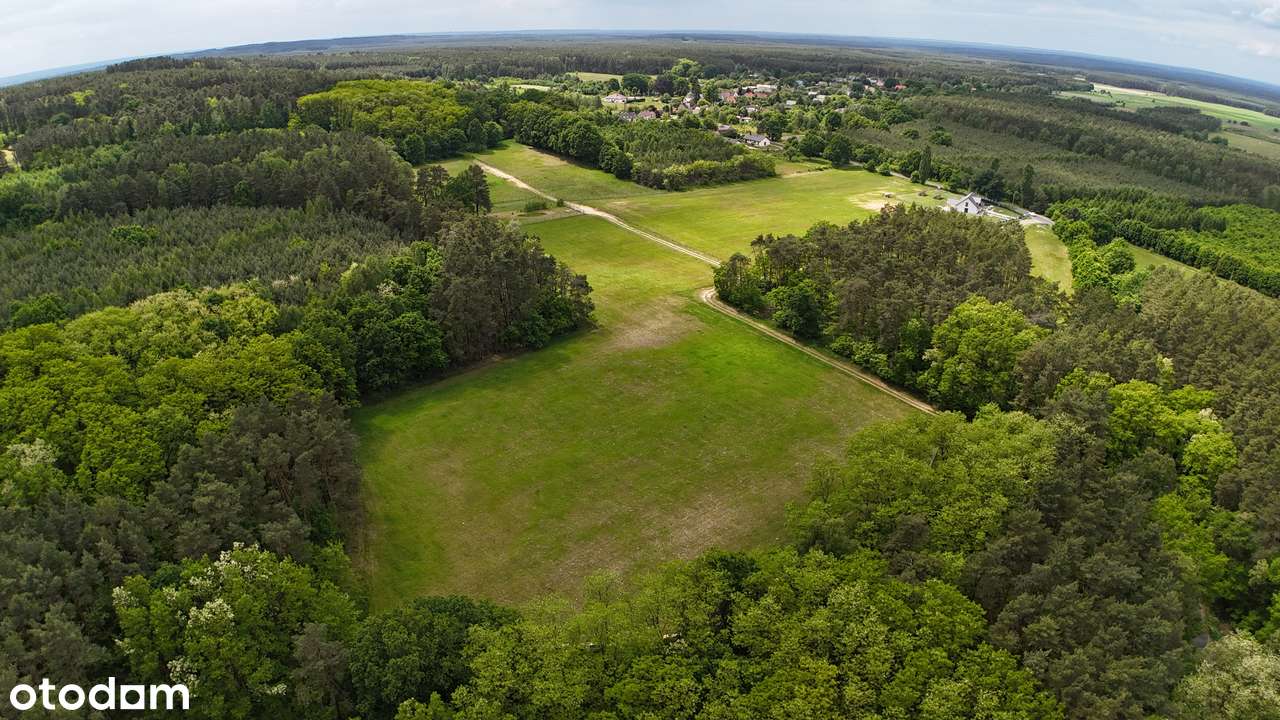 Działka 3000m² w pobliżu lasu - idealna na agroturystykę - Pełny obrazek: 4/9