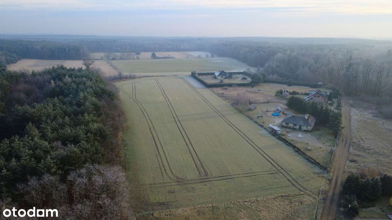 Atrakcyjne działki budowlane w Jaroszówce, mpzp, wodociąg, prąd, las - Pełny obrazek: 5/18