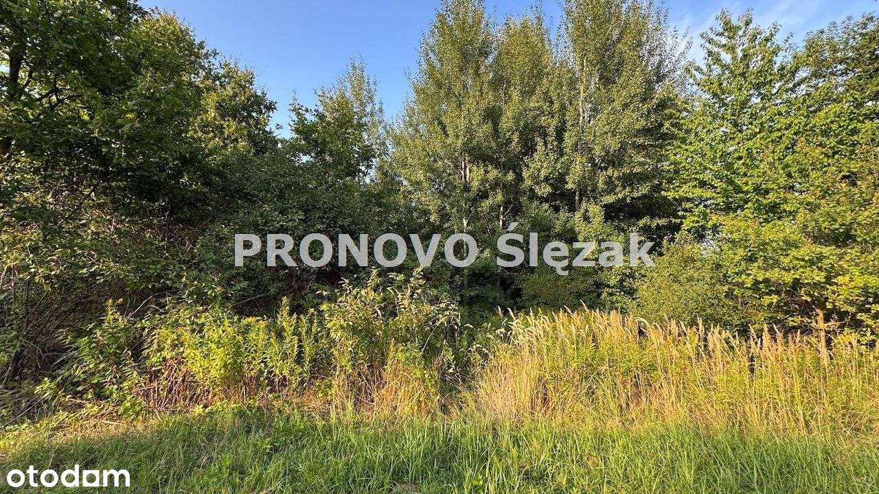 Sprzedam działkę budowlaną Morzęcin Mały-1