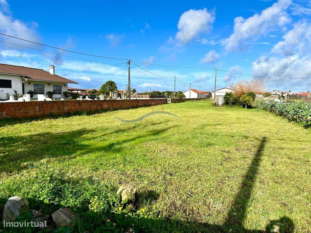 Terreno - Carvide - Grande imagem: 3/13