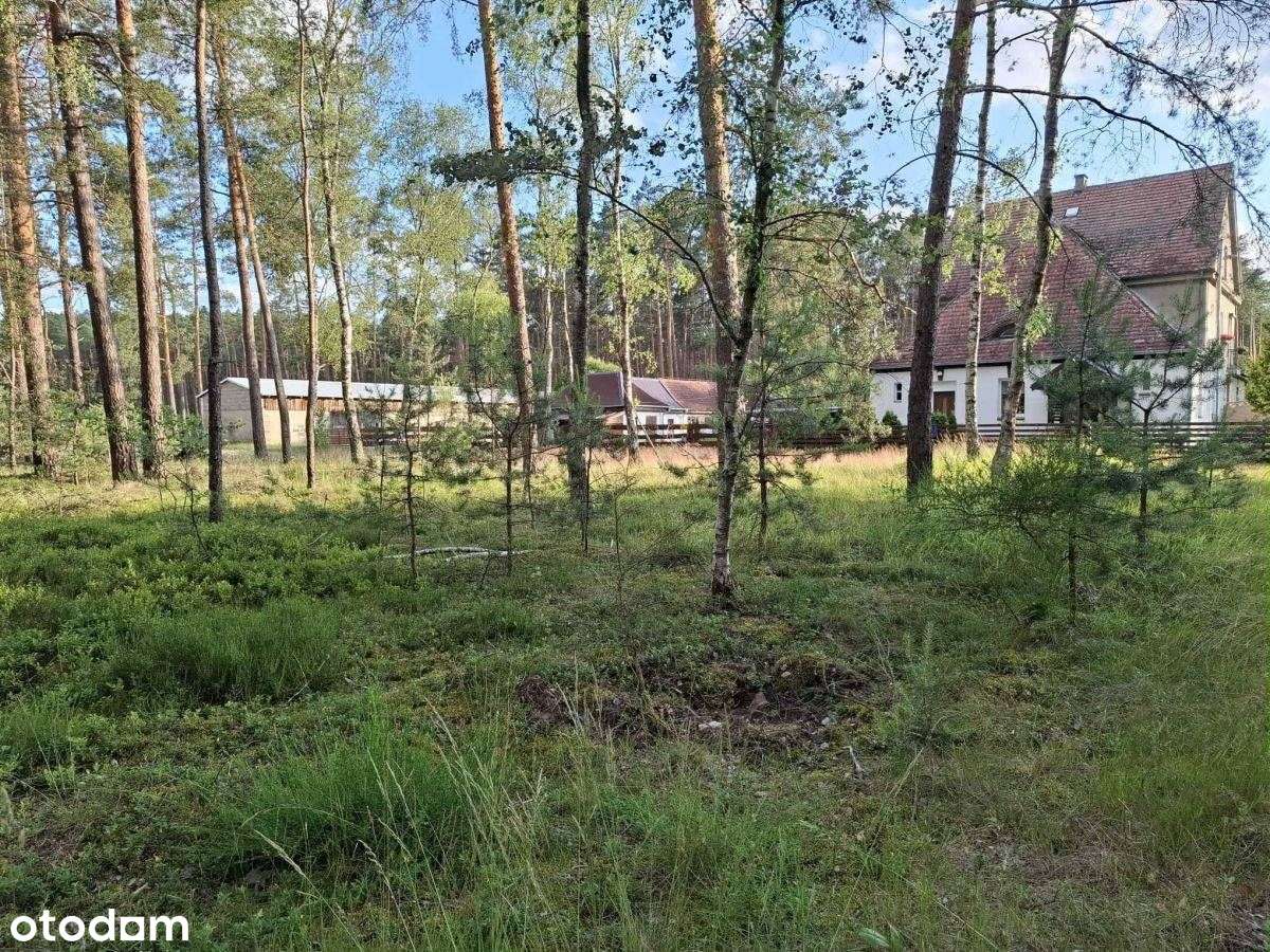 Przytulne mieszkanie w sercu Puszczy Nadnoteckiej!-19