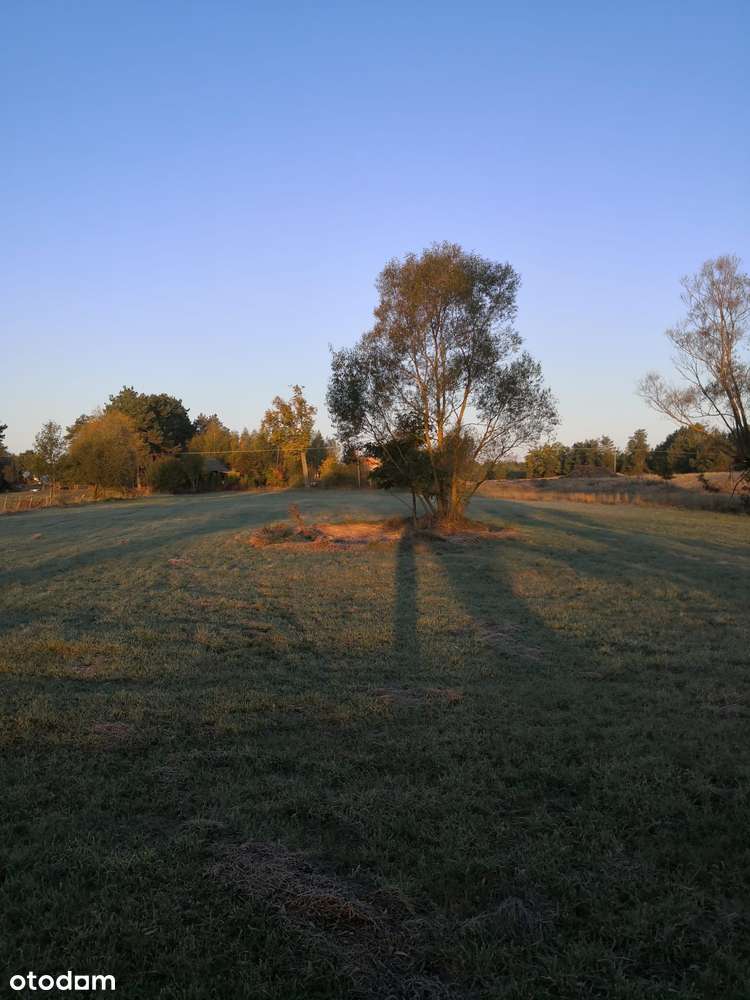 Marianowo g. Długosiodło I 3 działki I warunki zabudowy I pow. 2,06 ha-10