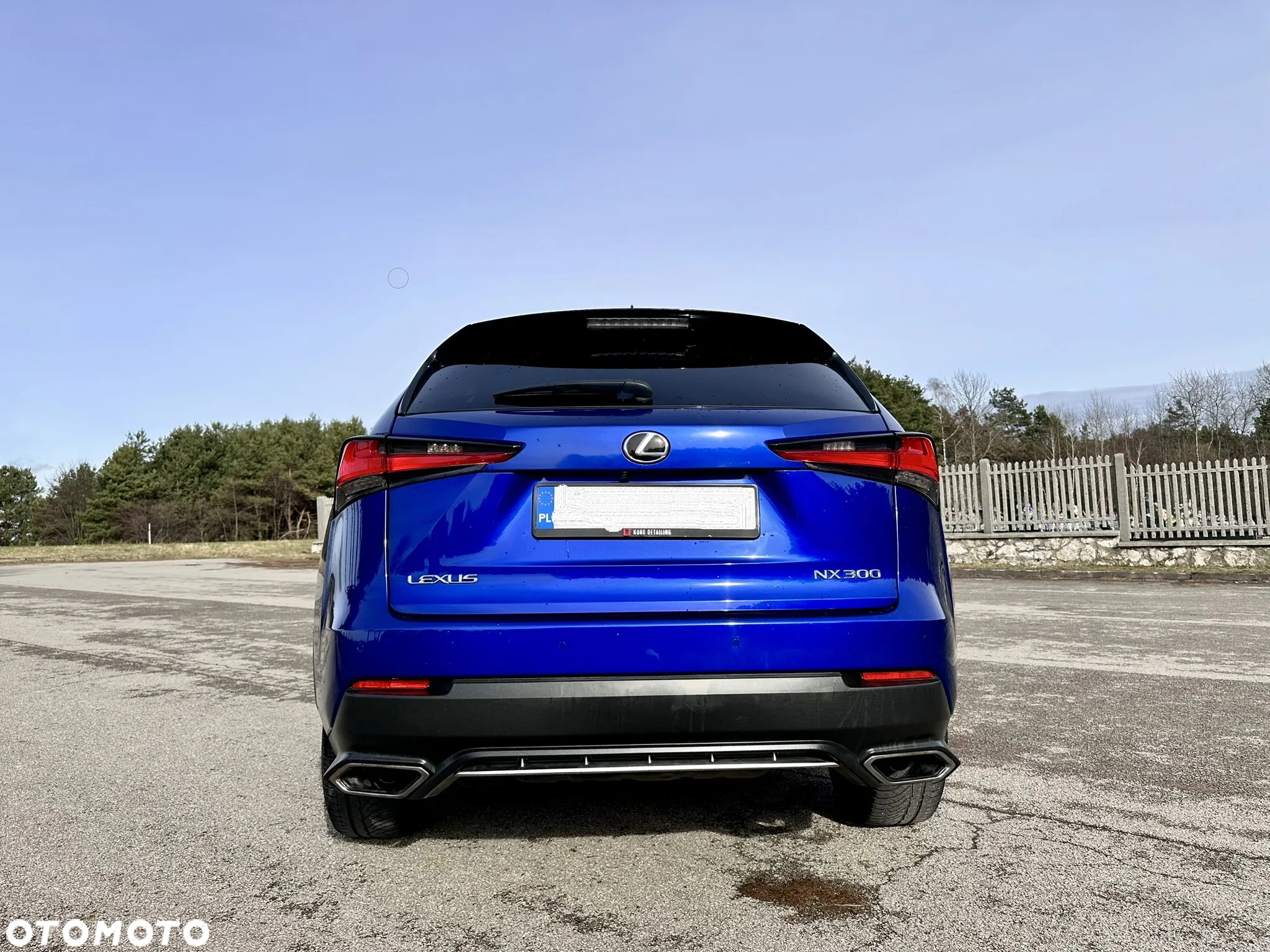 Lexus NX 300 F Sport AWD - 19