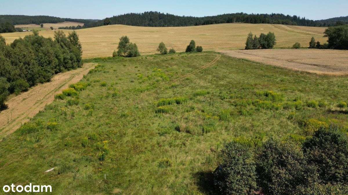Pogórze Izerskie - Działka Siedliskowa+Rola-3