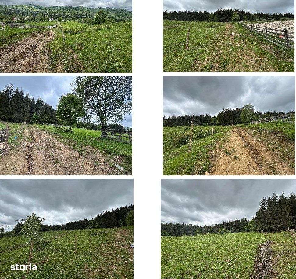 Teren intravilan- 10200 mp, Valea Doftanei - Imagine principală: 4/4