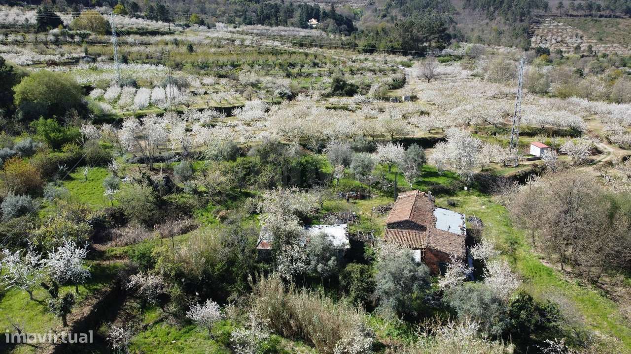 Quinta c/ 5,5 ha - Alcaide - Fundão - Grande imagem: 5/56