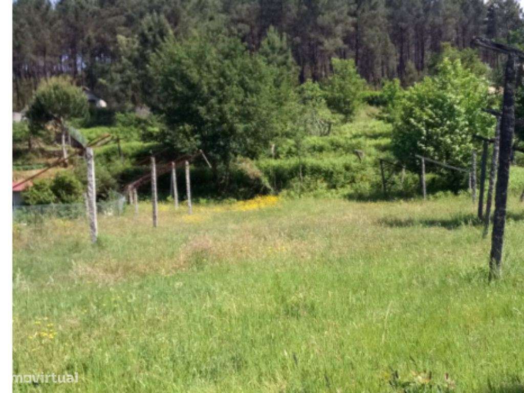 Terreno para Construção - Amarante - Grande imagem: 5/5