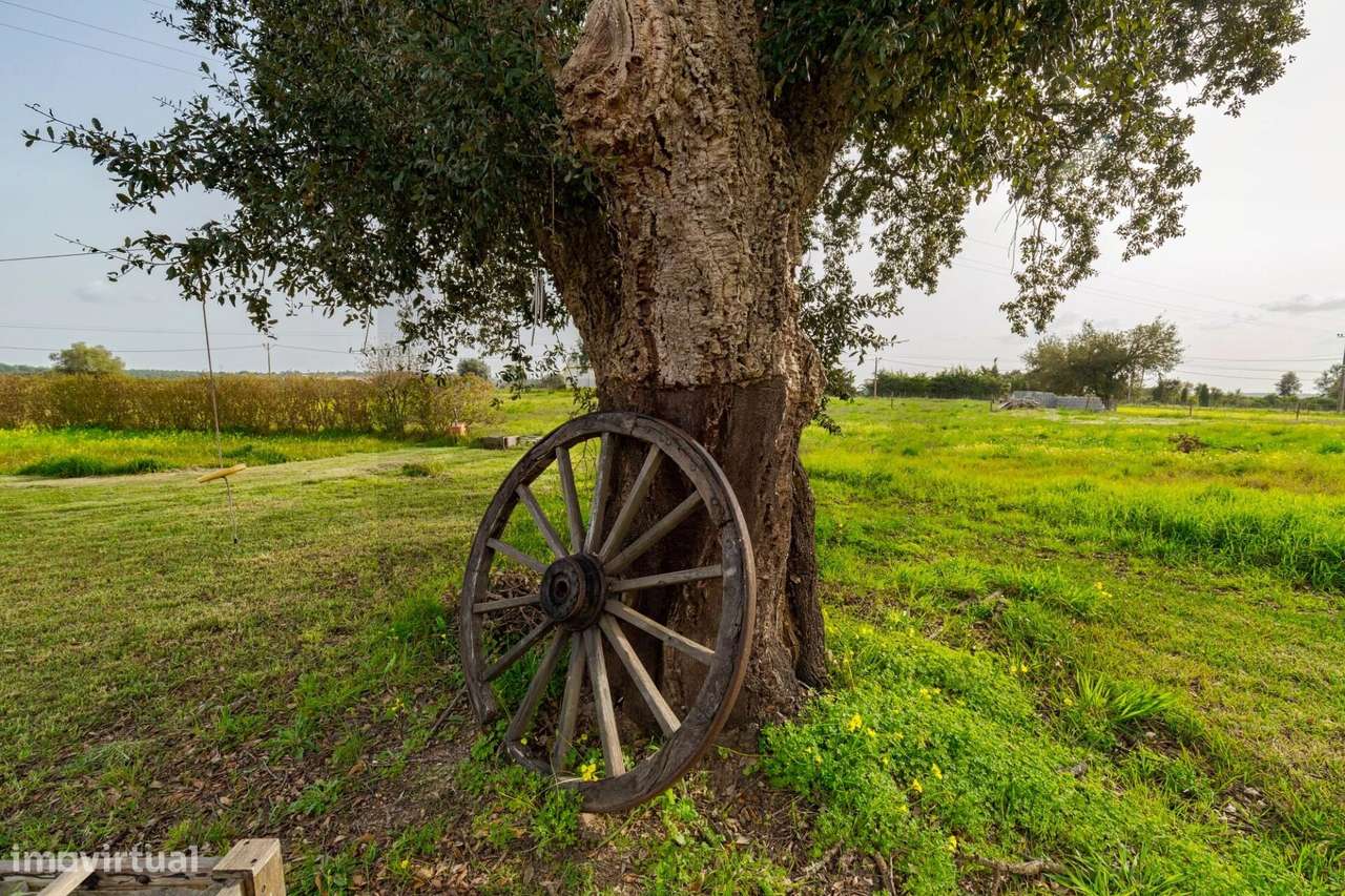 Monte Alentejano de Charme com 4 quartos | 1,3 ha | Litoral Alentejano-28