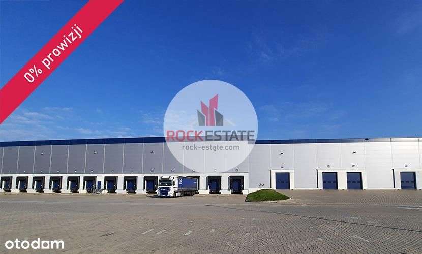 Magazyn w Radonicach 3 tyś. m2 - 0% prowizji - Pełny obrazek: 5/10