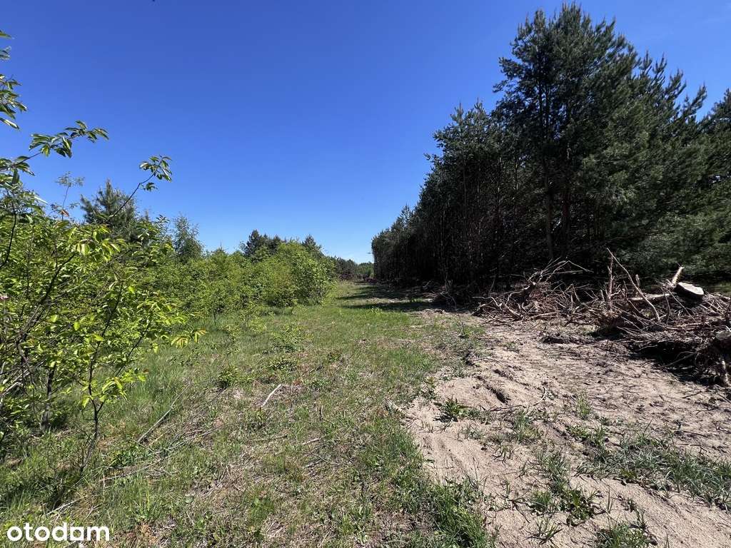 Działki budowlane w Słonym - Pełny obrazek: 4/6