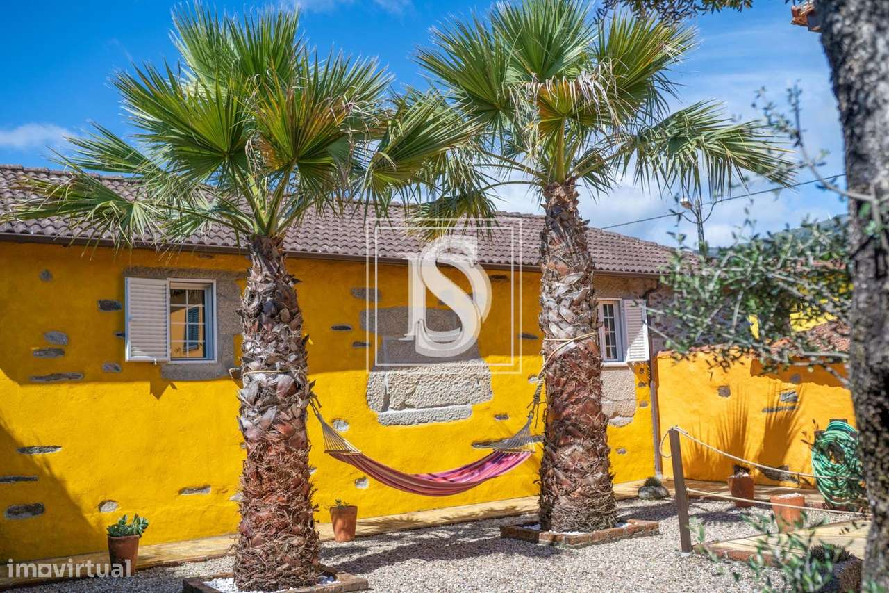 Quinta T8 na Cortiçada, sopé da Serra do Caramulo - Grande imagem: 4/30