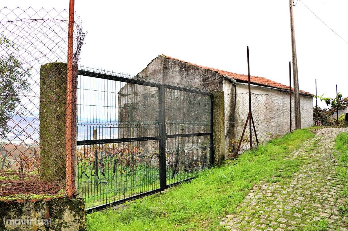 Quinta  para venda - Grande imagem: 5/24