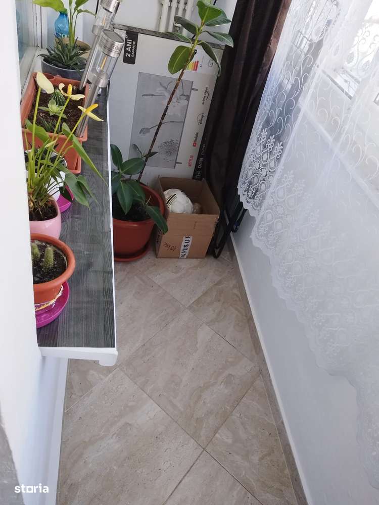 Garsoniera Darmanesti - Grigore Ureche - Imagine principală: 4/6