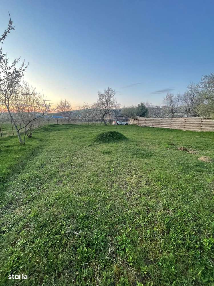 Teren intravilan Bârnova 556mp - Imagine principală: 4/7