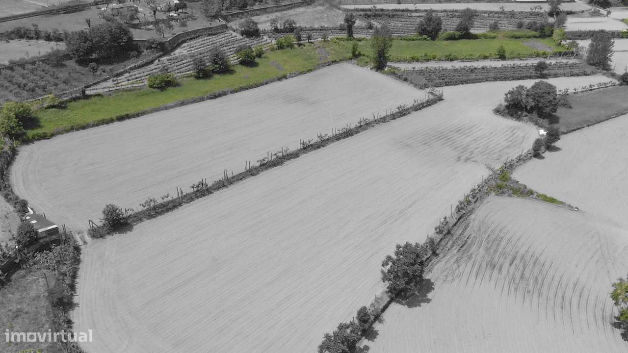 Terreno Agrícola  em Longos/Guimarães - Grande imagem: 4/10