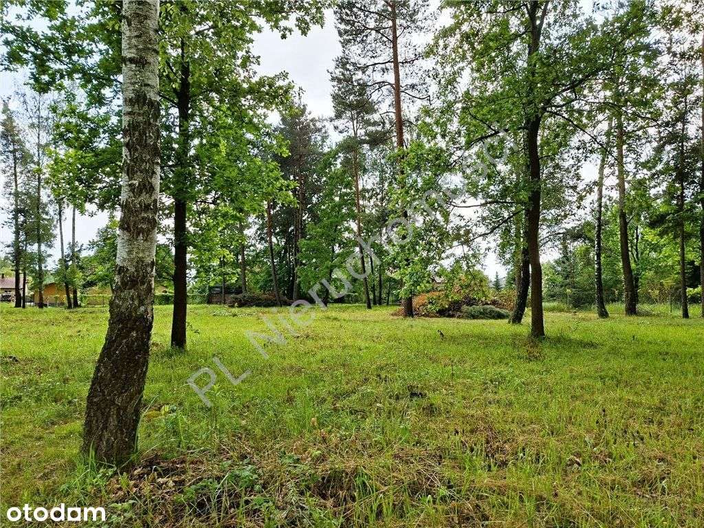 Urocze miejsce do zamieszkania - Pełny obrazek: 1/8